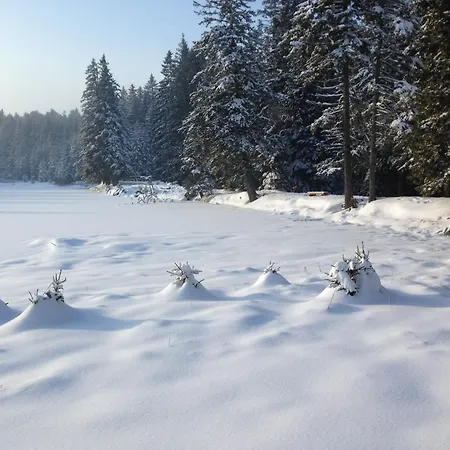 Luxury Bona - Bolfenk 4* Hocko Pohorje