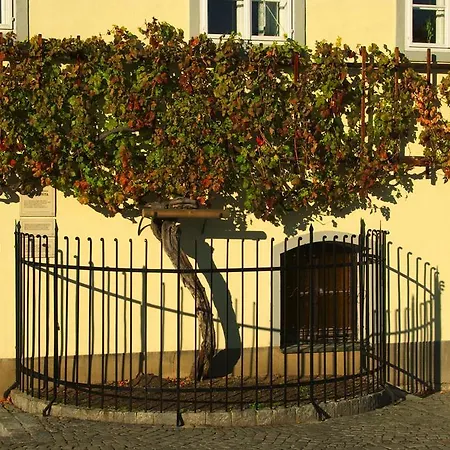 Luxury Bona - Bolfenk 4*