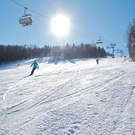 Luxury Bona - Bolfenk Hocko Pohorje